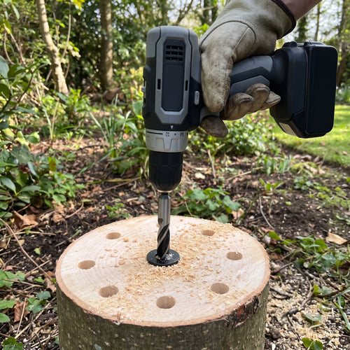 13mm tree stump drill bit with 30mm stop plate drilling holes in a cut tree stump