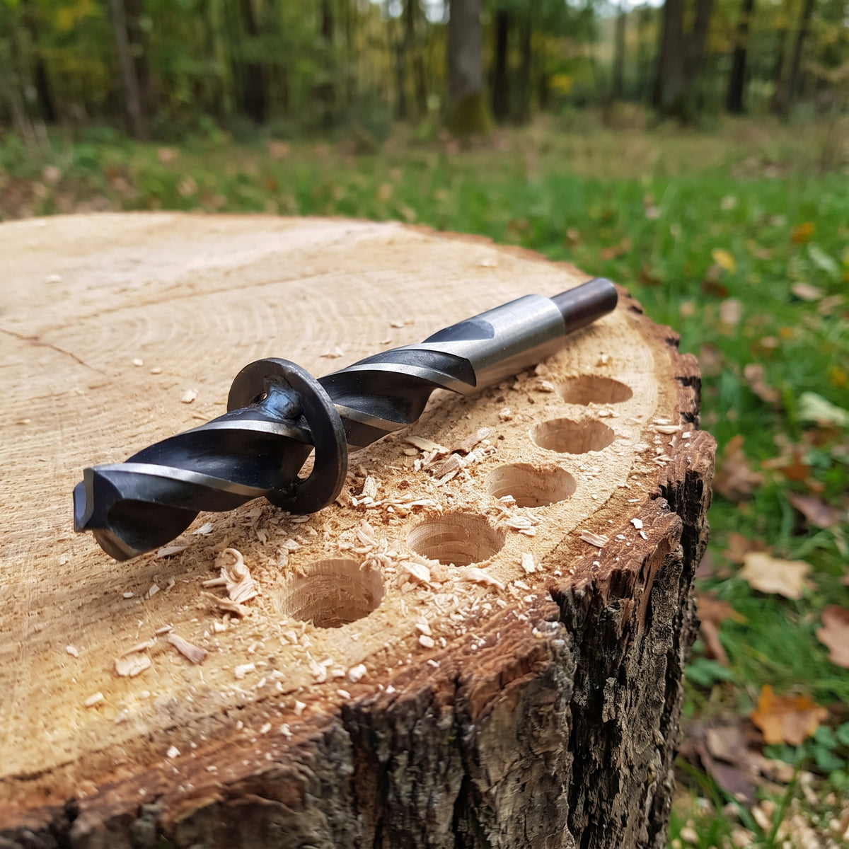 13mm tree stump drill bit with depth stop plate on a stump beside drilled holes