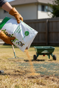 Multipurpose Grass Seed 20kg