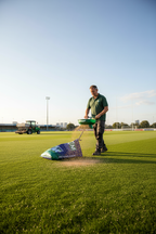 Ryegreen Grass Seed 20kg for Golf Greens, Bowling Greens and Croquet Lawns - Image 2
