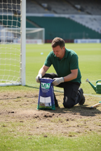 Browntop Bent Grass Seed Mixture for Dense Sward and Year-Round Color - Image 2