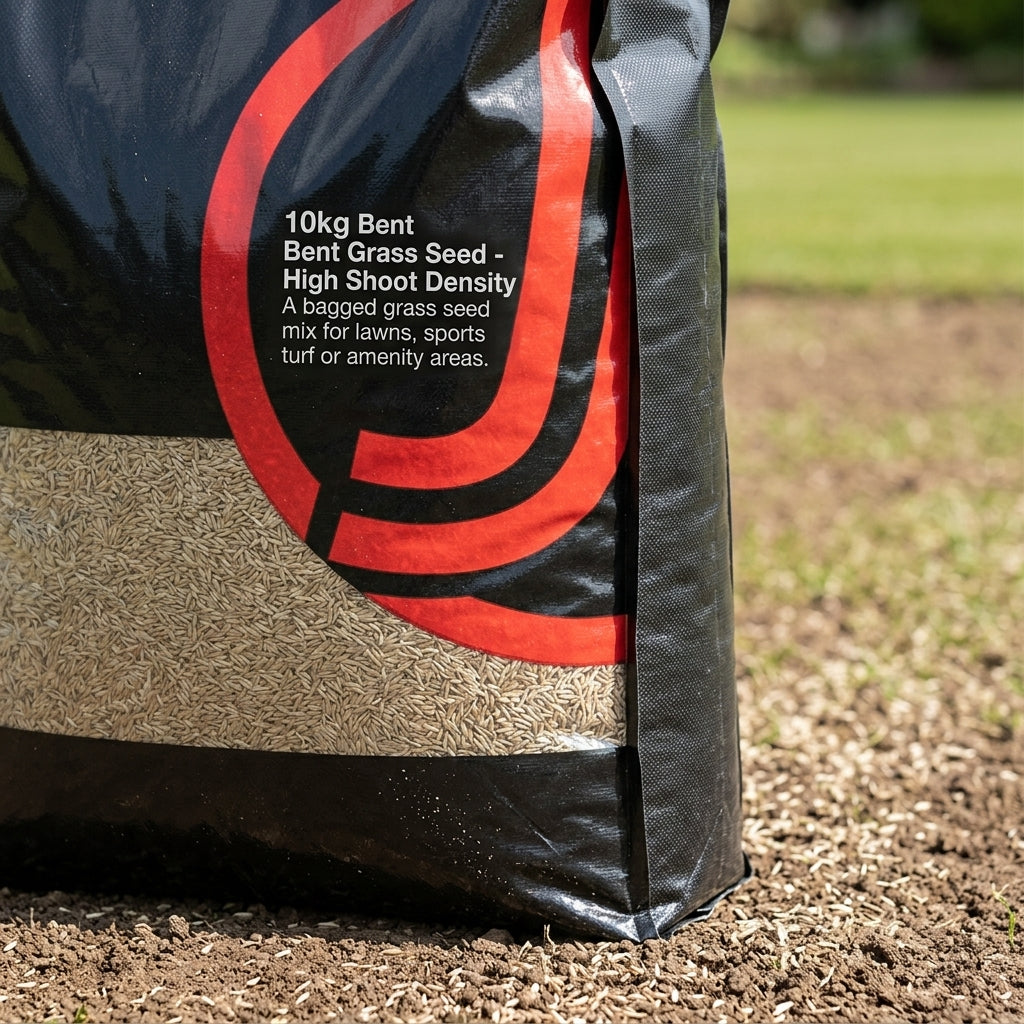 10kg Bent Grass Seed - High Shoot Density (view 2)