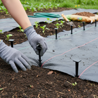 BIO Degradable Square Pegs 155mm - Image 2