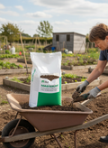 Traditional Green Grass Seed