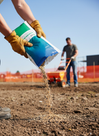 Grass Seed Mixture
