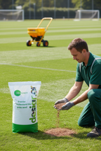 Formal Grass Seed Mix for Ornamental Lawns