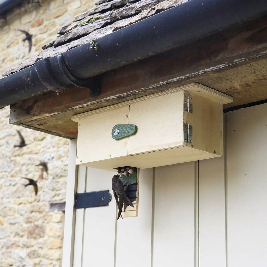 Eaves Nesting Box for Swifts with Internal Cup