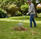 Lawn Rake - Image 2