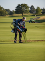 100% Fescue Grass Seed Mix for Sustainable Overseeding
