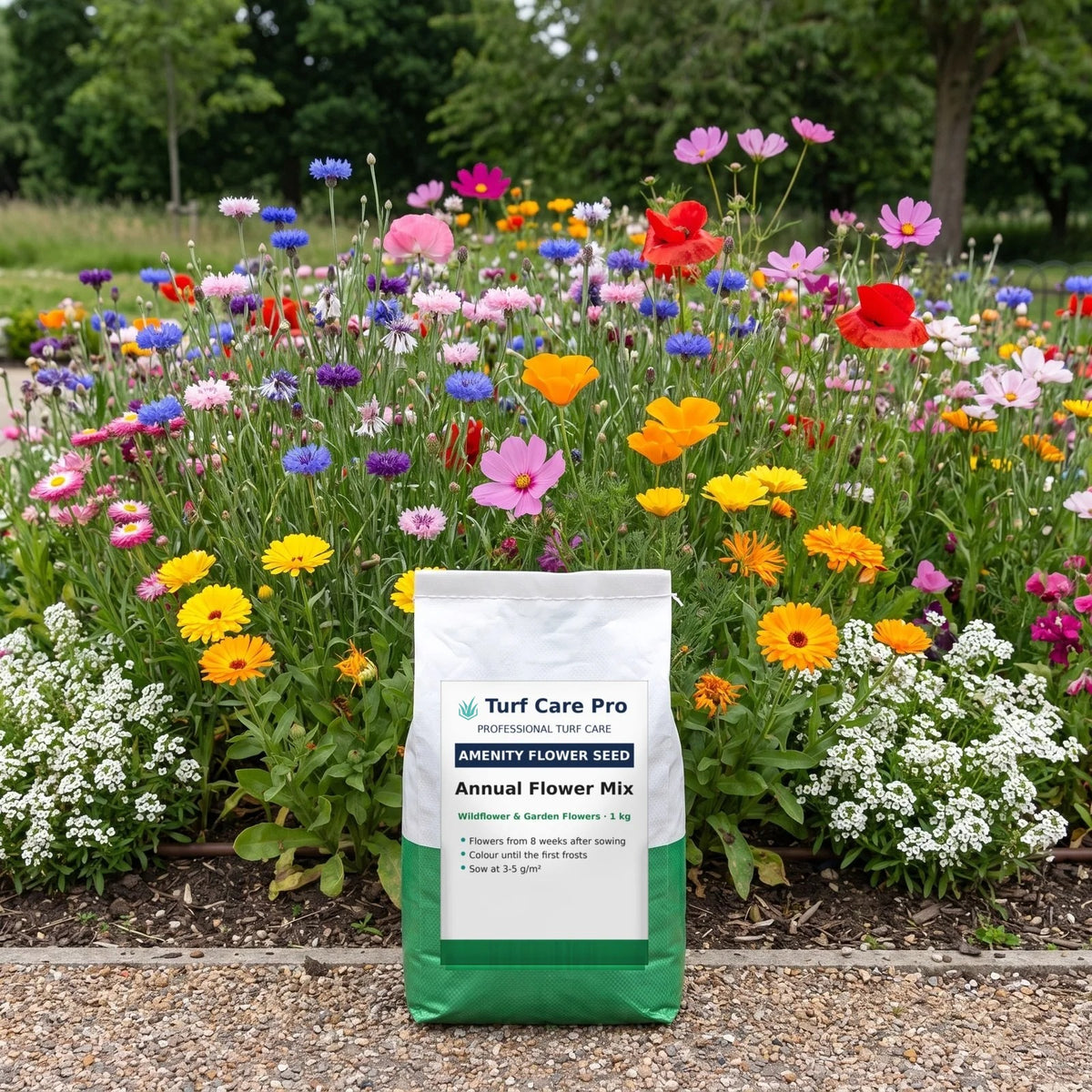 1kg annual amenity flower seed mix in front of a bright park flower display
