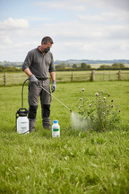 Selective Herbicide 1L for Amenity Grassland Management - Image 2