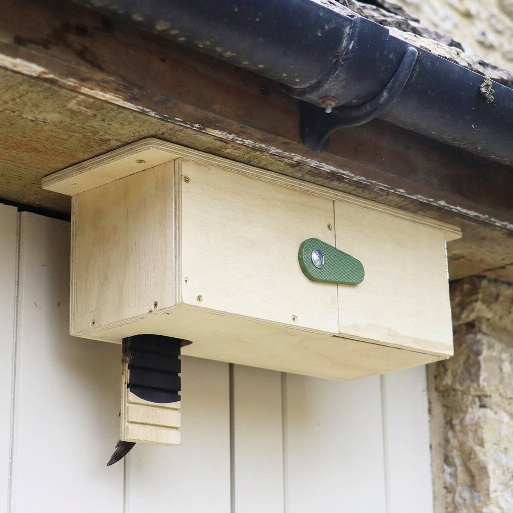 Eaves Nesting Box for Swifts with Internal Cup (view 2)