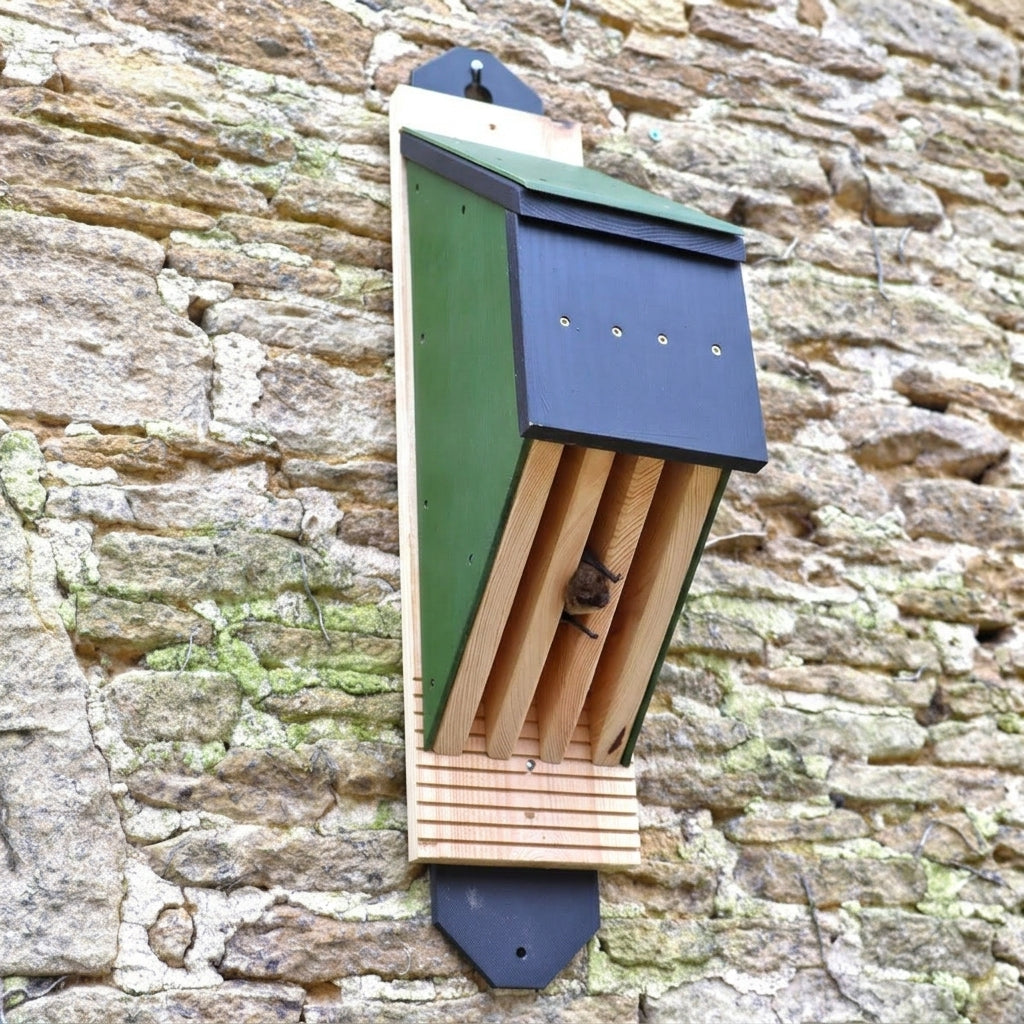 Multi-Species Bat Box (view 2)