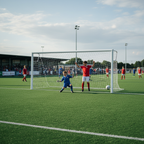 3G Stadium Goal - Image 2