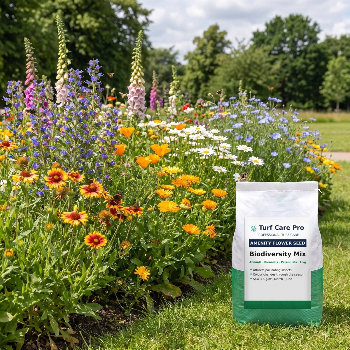 1kg biodiversity amenity flower seed mix beside a park flower bed with bees and butterflies