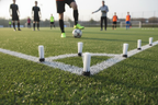 Grass Tuft Markers - Image 2