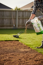 Fast-Germinating Grass Seed Blend - Image 2