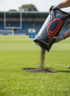 Grass Seed Mix for Rapid Establishment and Shade Tolerance 20kg