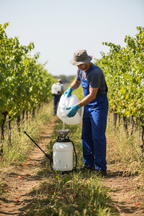 Heavy Duty Herbicide 360g/L Glyphosate for Edible and Non-Edible Crops - Image 2