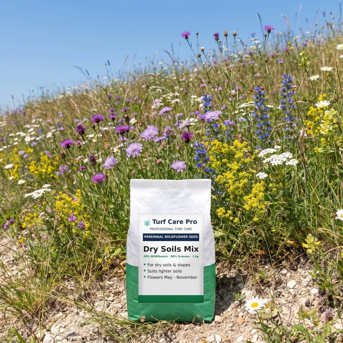 1kg dry soils wildflower and grass seed mix on a sunny wildflower slope