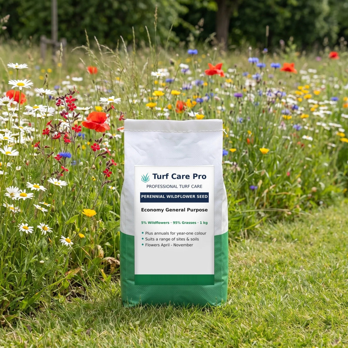 1kg economy general purpose wildflower seed mix beside a flowering wildflower verge