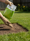 Hardwearing Lawn Grass Seed Blend for Durable Turf
