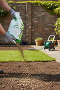 Browntop Bent Grass Seed Mixture for Golf and Bowling Greens