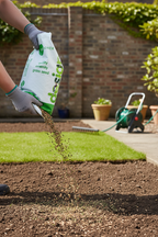Browntop Bent Grass Seed Mixture for Golf and Bowling Greens