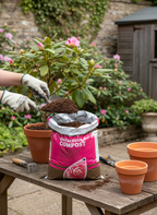 Ericaceous Compost 50L