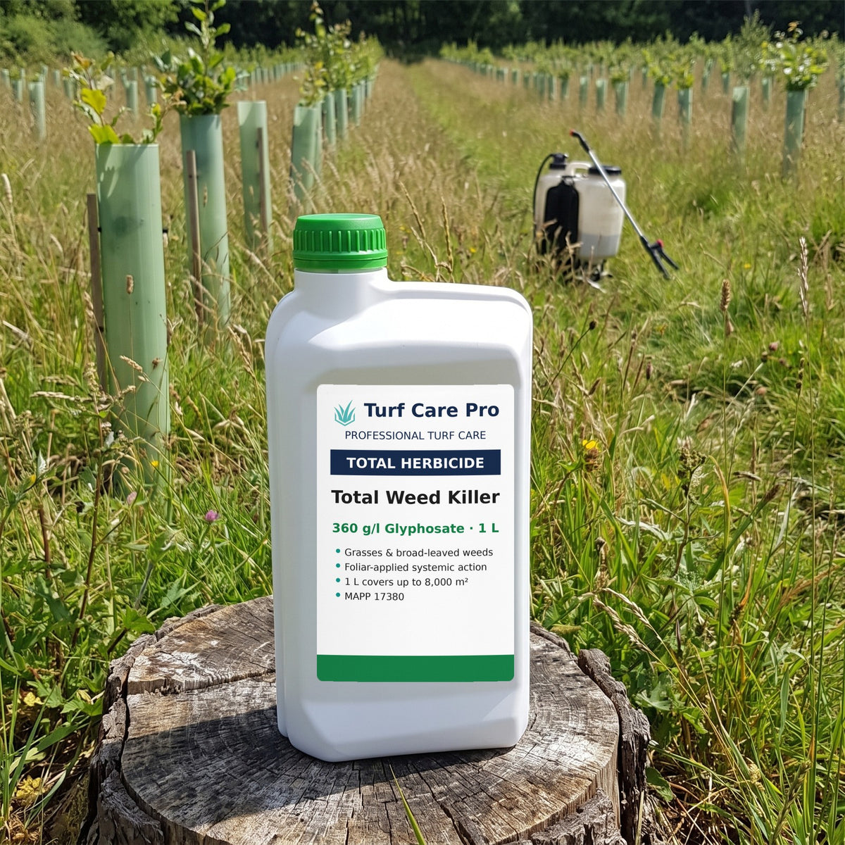 1L glyphosate total herbicide on a tree stump in a young forestry plantation with a knapsack sprayer