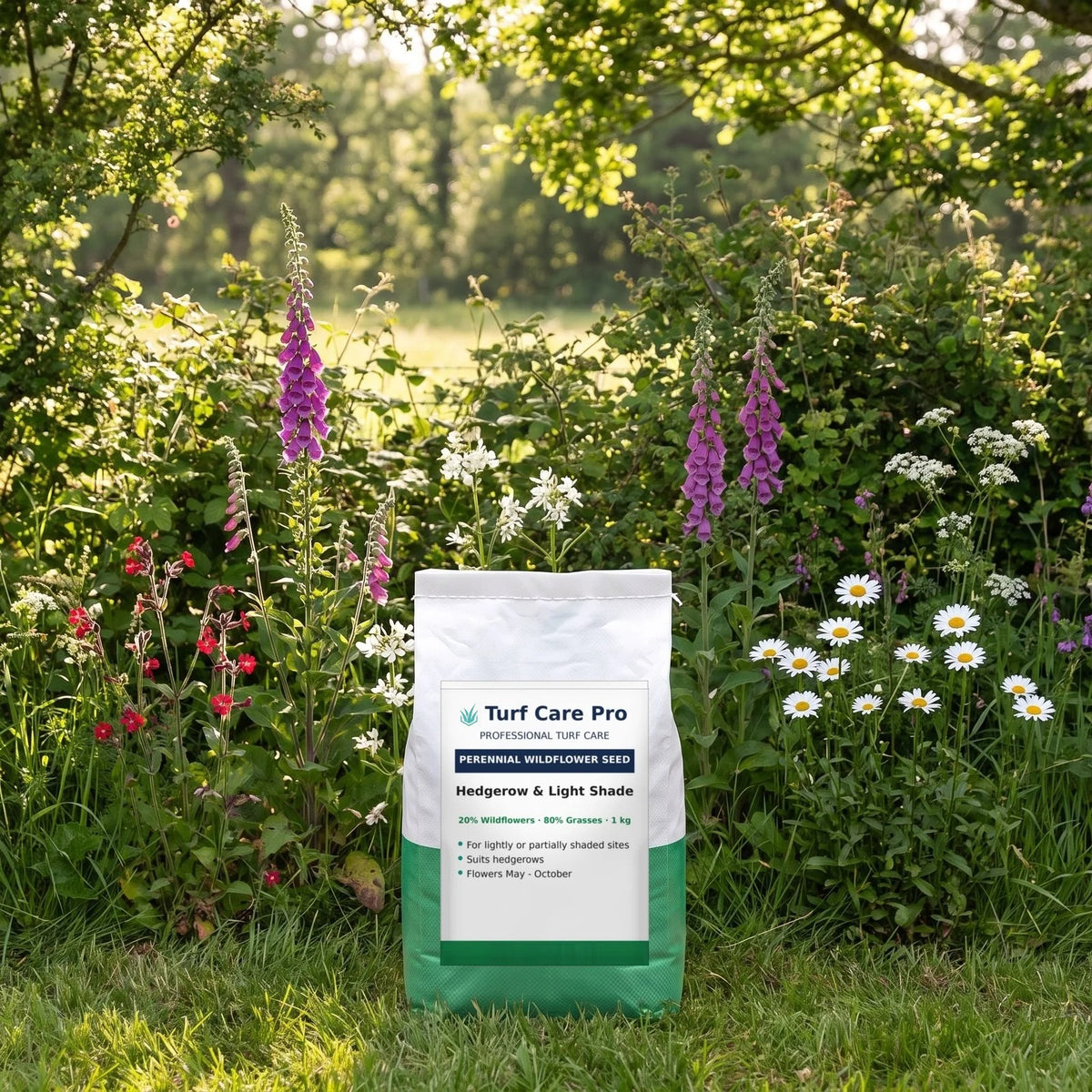 1kg hedgerow and light shade wildflower seed mix at the base of a shaded hedgerow