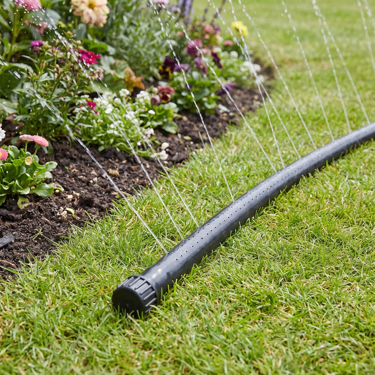 Perforated garden irrigation hose with blanking cap watering a lawn and flower bed