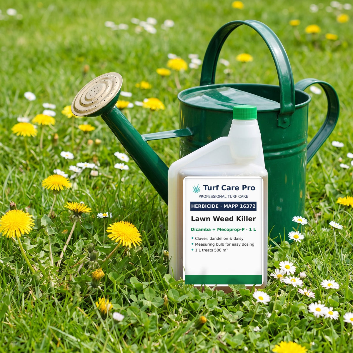 1L lawn weed killer on a lawn with dandelions, daisies and clover beside a watering can