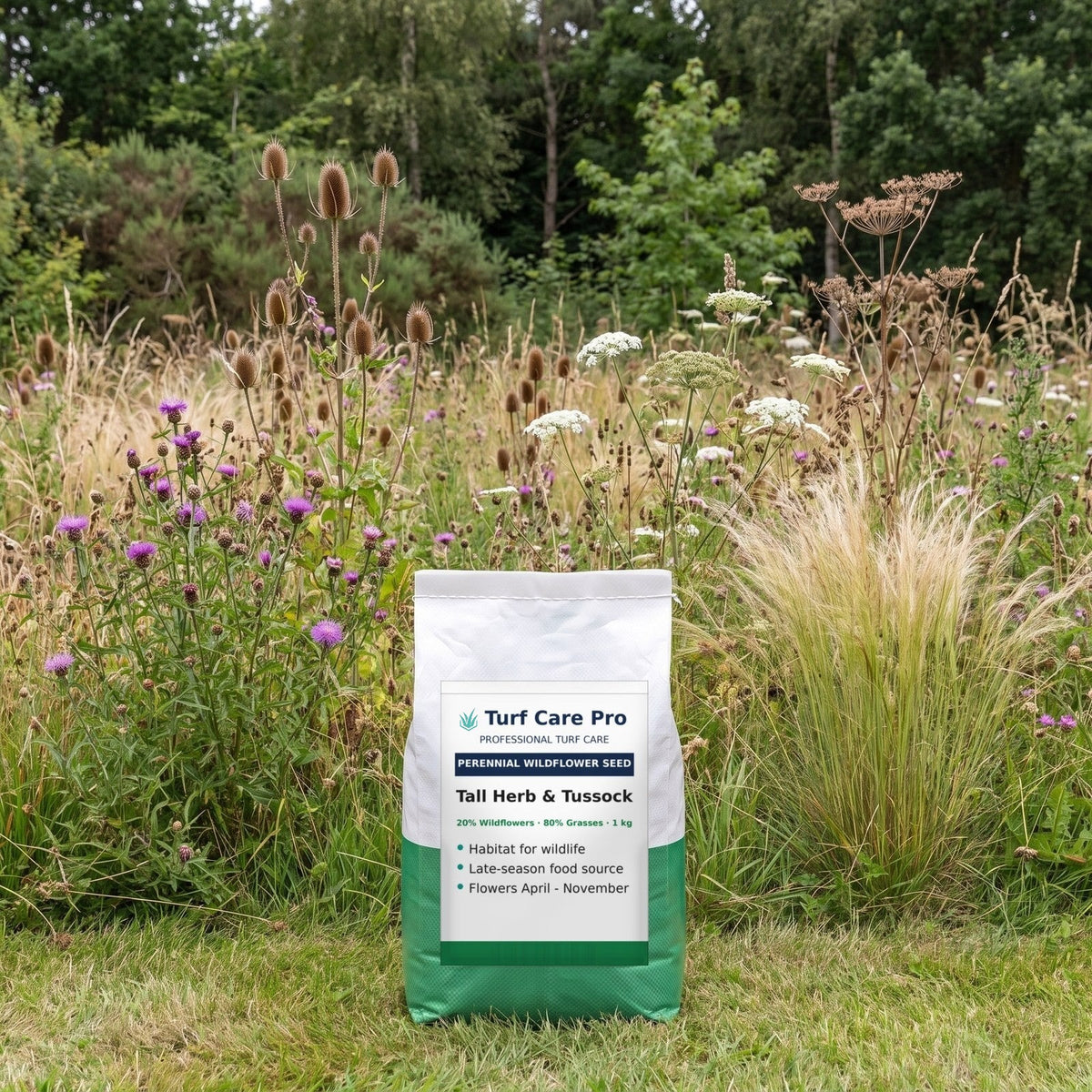 1kg tall herb and tussock wildflower seed mix in front of tall wildlife grassland at a woodland edge